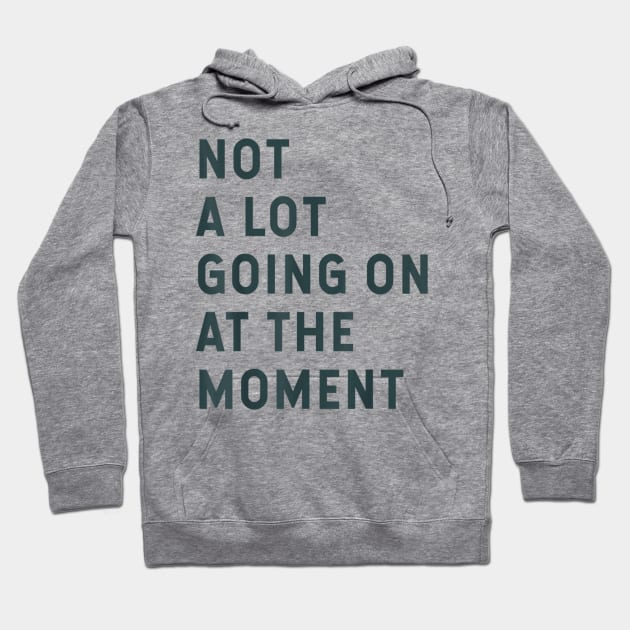 NOT A LOT GOING ON AT THE MOMENT Hoodie by DonVector